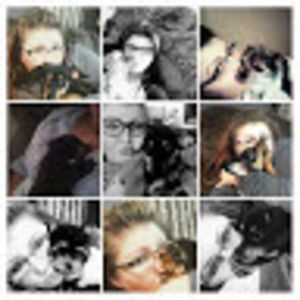 Meet your Posher, Priscilla